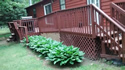 Deck China Maine