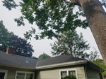 Roof in Augusta